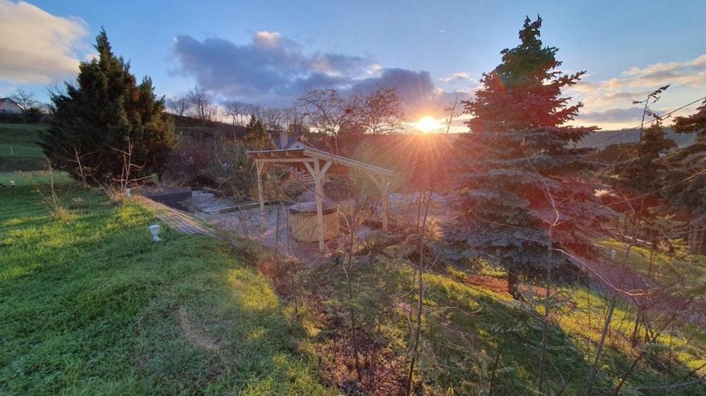 Borkuti Panzio Es Apartman Balatonszárszó Exterior foto